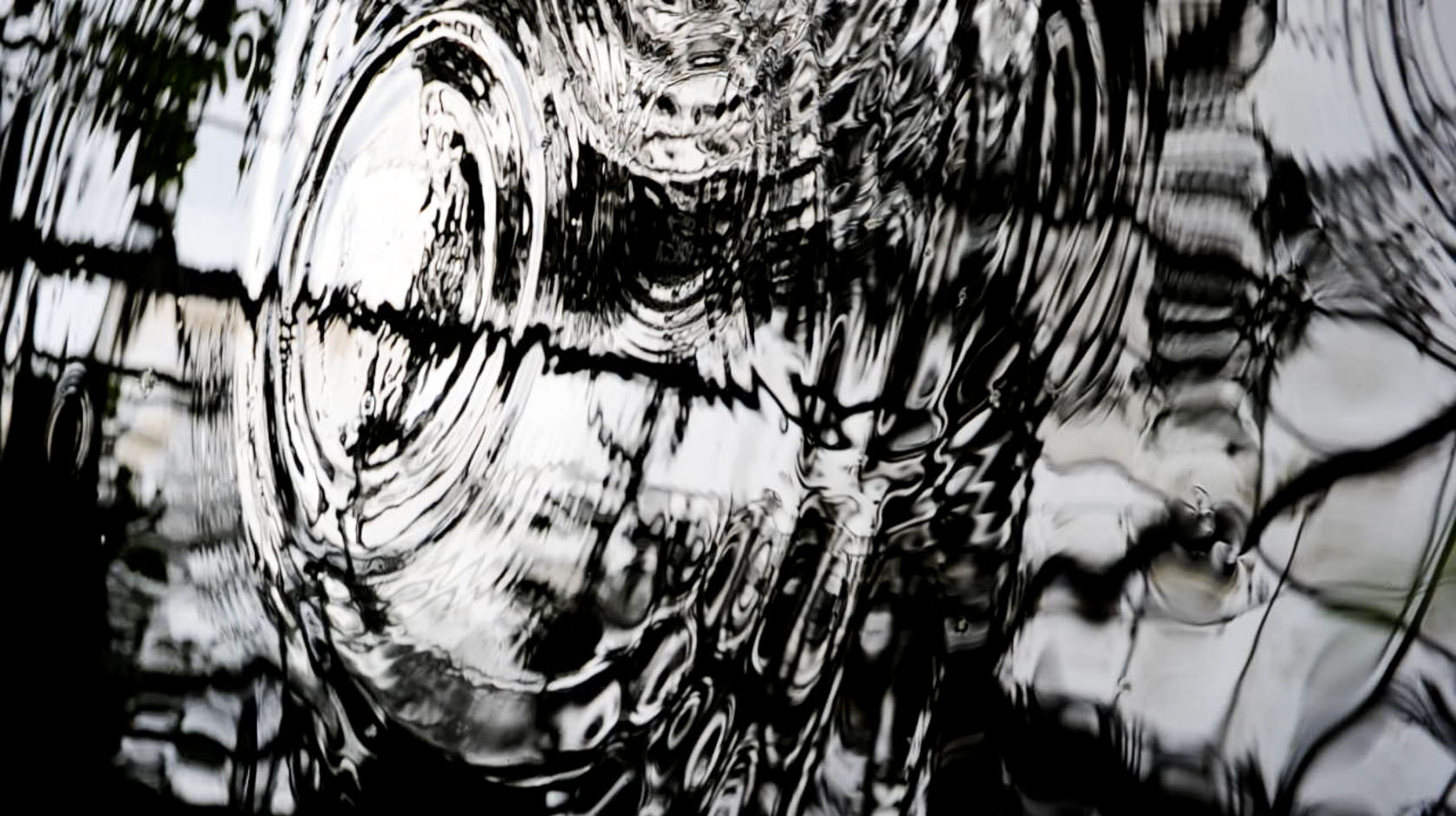 black and white water droplet pattern from the live visuals The Canopy by Claudia Hansen